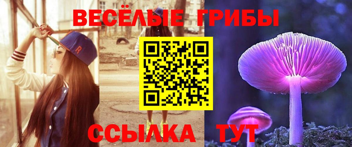 Галлюциногенные грибы MAGIC MUSHROOMS  Вход с VPN  Алейск 